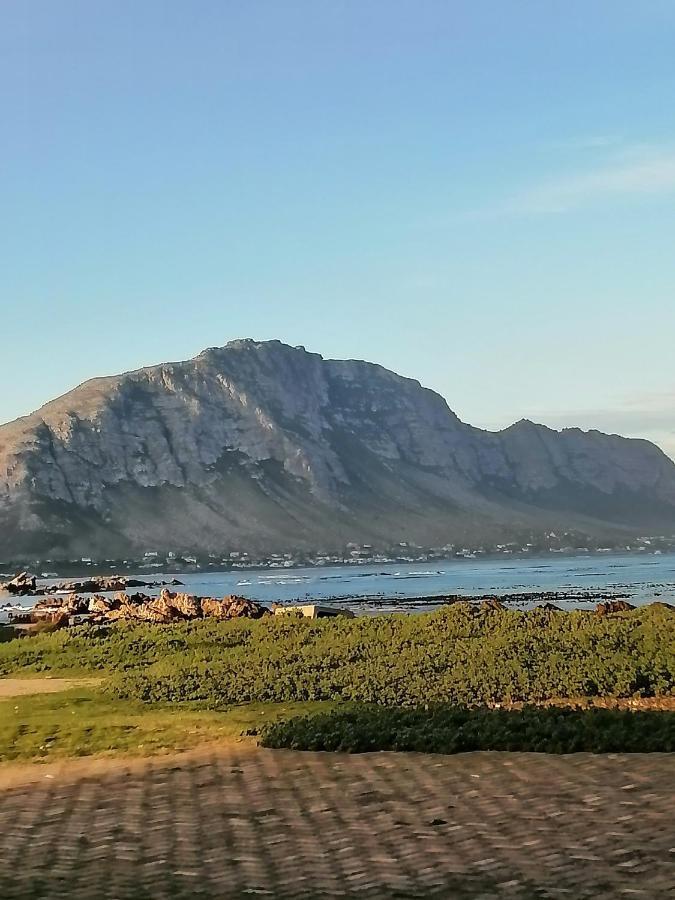 Just Chill Betty'S Bay Lejlighed Eksteriør billede